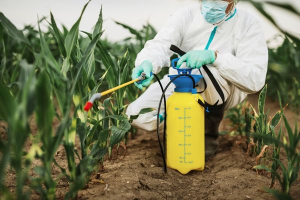 insights-into-integrated-pest-management-all-you-should-know-600x400 insights-into-integrated-pest-management-all-you-should-know-600x400