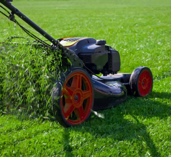 spring-lawn-care-2132455-09-df14429ef98948e69439952f6e7287fa spring-lawn-care-2132455-09-df14429ef98948e69439952f6e7287fa